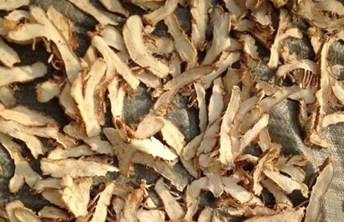桂枝芍药知母汤加减治疗类风湿关节炎配方、医案、经典案例
