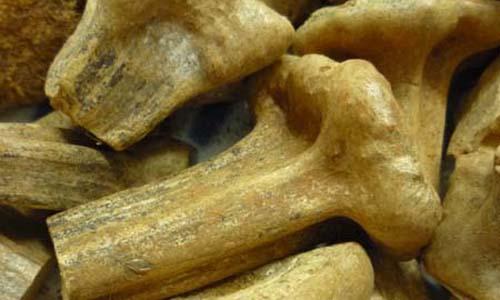 神妙汤治疗痛风性关节炎配方、医案、经典案例