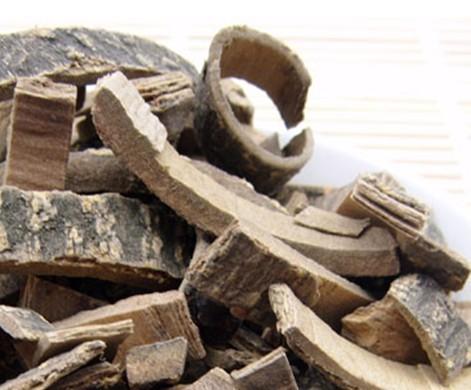 海桐寻骨汤治疗痛风性关节炎配方、医案、经典案例