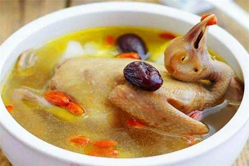 党参老鸽汤能健脾益胃吗?作用与功效、做法