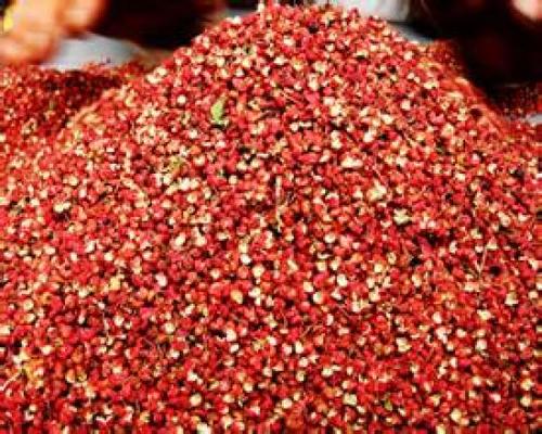 花椒火腿汤能健脾益胃吗？作用与功效、做法