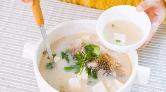 海参羊肉粥能补气养血吗？作用与功效、做法