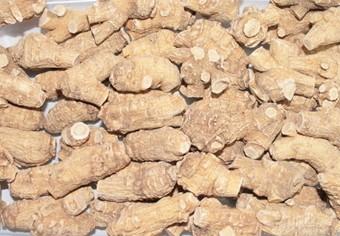 消风散加减治疗痤疮配方、医案、经典案例