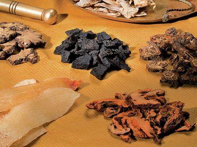 扶元养荣汤治疗脱发配方、医案、经典案例