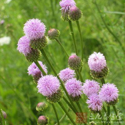 知柏地黄丸加减治衄血医案、配方