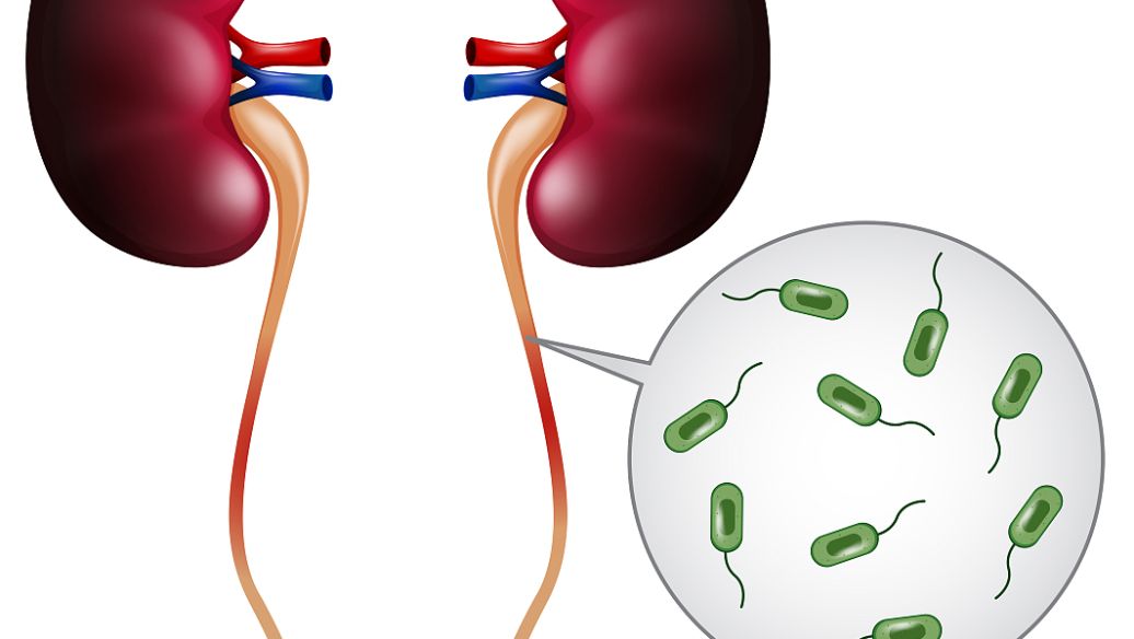 知柏地黄丸加减治倒经医案、配方