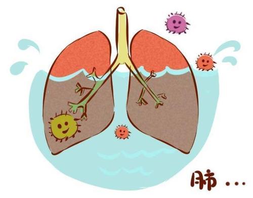 真武汤加减治胸腔积液医案、配方