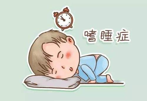 真武汤加减治发作性嗜睡医案、配方