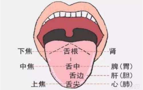 增液汤加减治舌痛医案、配方