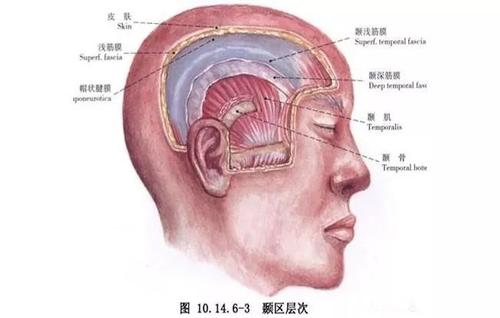 岑桂术甘汤加减治血管神经性头痛医案、配方