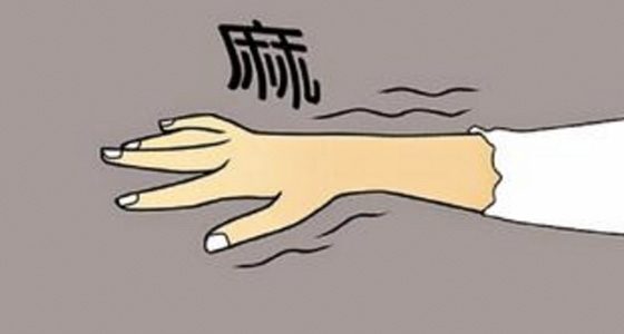 岑桂术甘汤加减治四肢麻木医案、配方