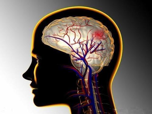 镇肝熄风汤加减治脑血栓医案、配方