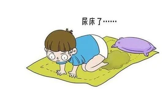 麻黄汤加减治小儿遗尿医案、配方