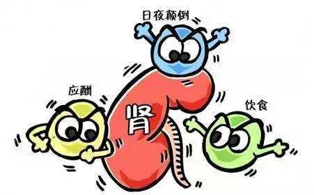一贯煎加减治乙肝相关性肾炎医案、配方