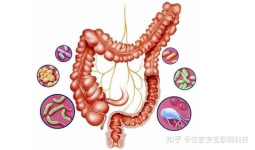云南白药加减治伤寒并发肠出血医案、配方