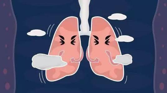 乌梅丸加减治慢性阻塞性肺气肿医案、配方