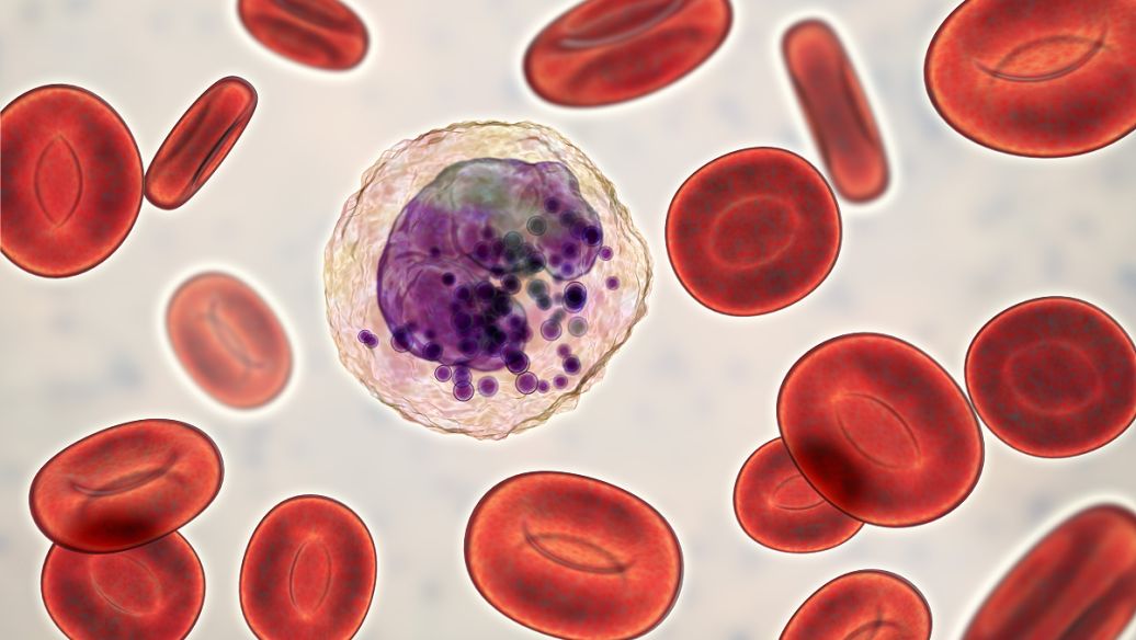 补阳还五汤加减治血小板减少性紫斑医案、配方
