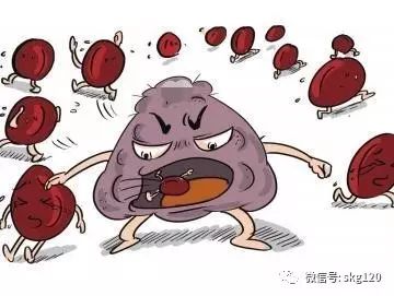 补阳还五汤加减治慢性再生障碍性贫血医案、配方