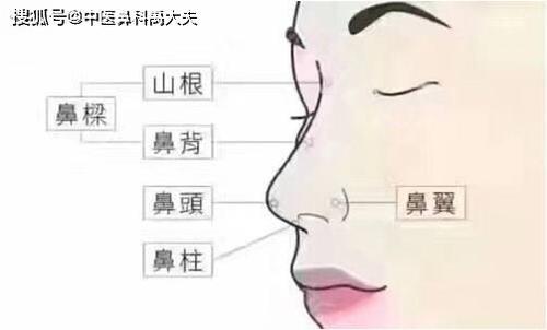 参苓白术散加减治鼻窒医案、配方