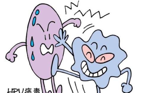 五味消毒饮加减治尖锐湿疣医案、配方