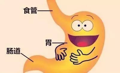 藿香正气散加减治消化道肿瘤医案、配方