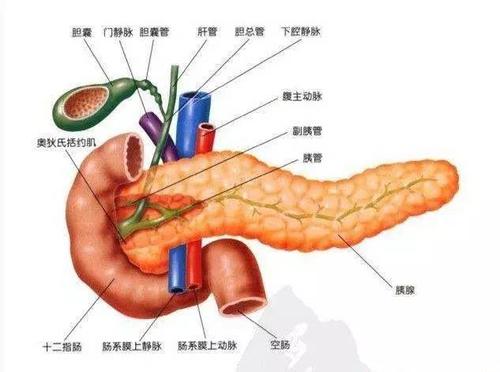 越鞠丸加减治急性胰腺炎医案、配方