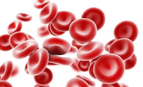 归脾汤加减治缺铁性贫血医案、配方