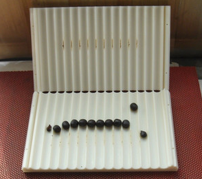 桂枝茯苓丸加减治紫癜性肾炎医案、配方