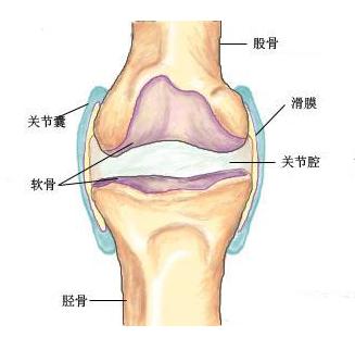 生脉散加减治膝关节骨性关节炎医案、配方