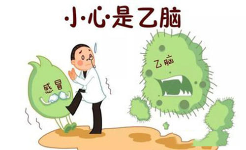 白虎汤加减治流行性乙型脑炎医案、配方