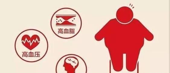 血府逐瘀汤加减治高脂血症医案、配方