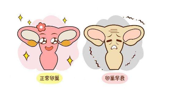血府逐瘀汤加减治卵巢囊肿医案、配方