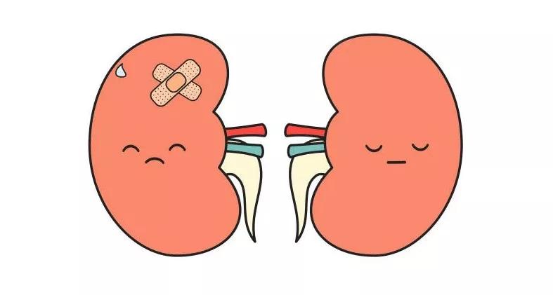 血府逐瘀汤加减治肾结石医案、配方
