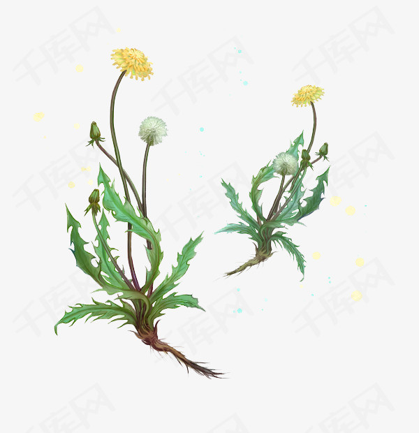 血府逐瘀汤加减治血栓闭塞性脉管炎医案、配方