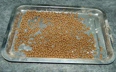 金匮肾气丸加减治牙痛医案、配方