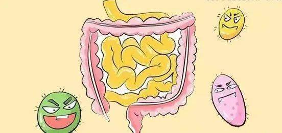 黄连解毒汤加减治溃疡性结肠炎医案、配方
