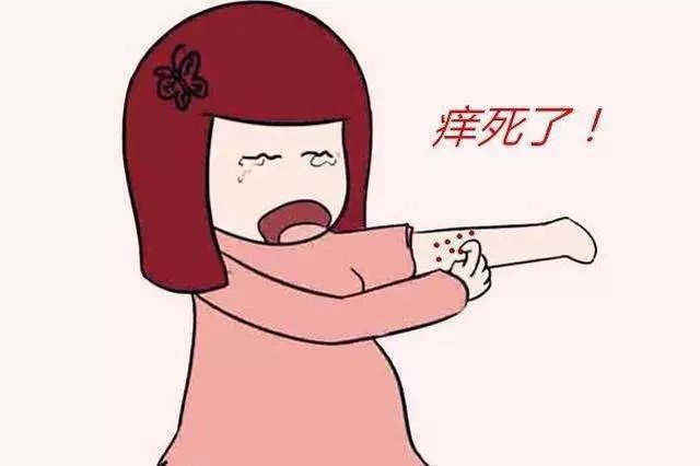 黄连解毒汤加减治皮肤瘙痒症医案、配方