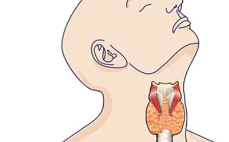 阳和汤加减治单纯性甲状腺肿医案、配方