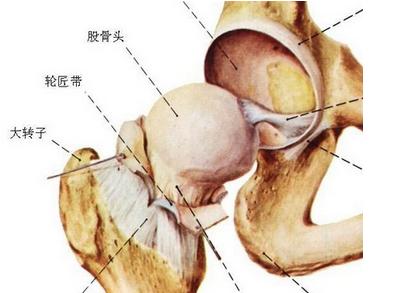 阳和汤加减治骨折延迟愈合医案、配方