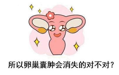 阳和汤加减治卵巢囊肿医案、配方