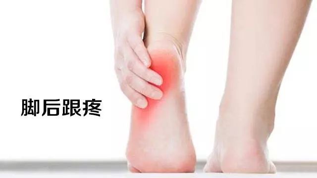 六味地黄丸加减治跟痛症医案、配方