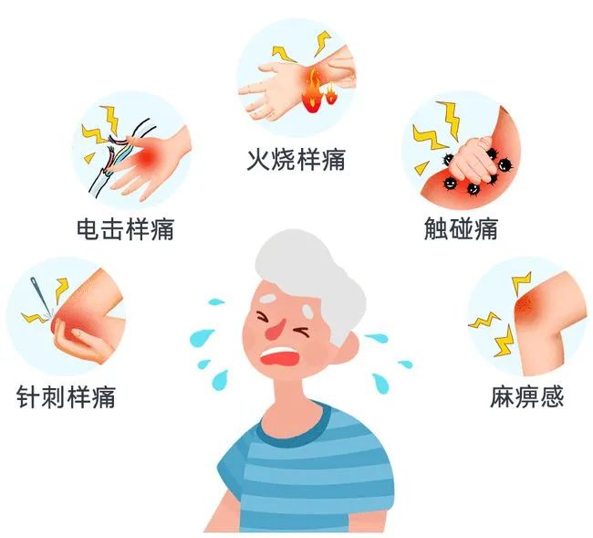 六味地黄丸加减治带状疱疹后遗神经痛医案、配方