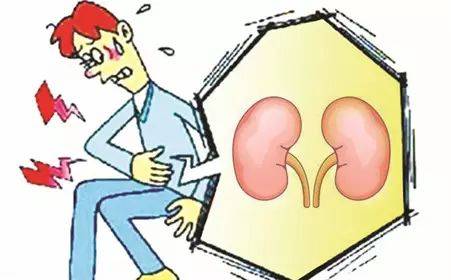 六味地黄丸加减治慢性肾盂肾炎医案、配方