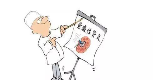 六味地黄丸加减治紫癜性肾炎医案、配方