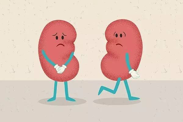 六味地黄丸加减治血精医案、配方