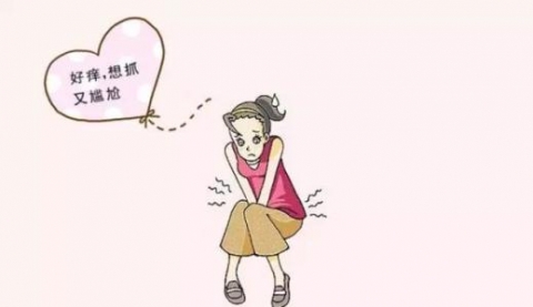 六味地黄丸加减治阴痒医案、配方