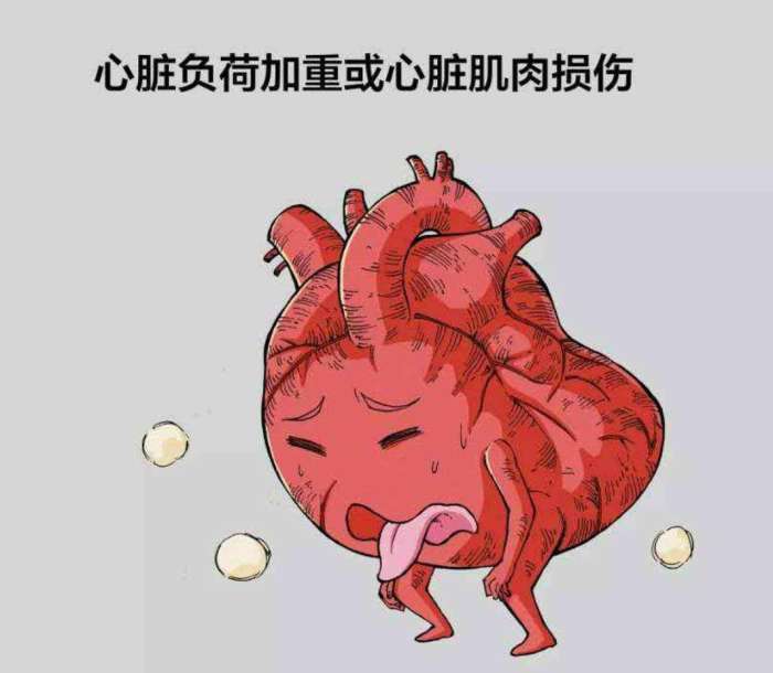 小柴胡汤加减治病毒性心肌炎医案、配方