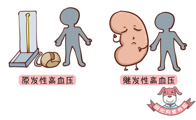 小柴胡汤加减治原发性高血压医案、配方