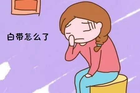 小柴胡汤加减治带下病医案、配方