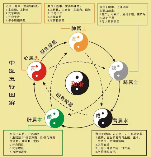 什么是脏象?